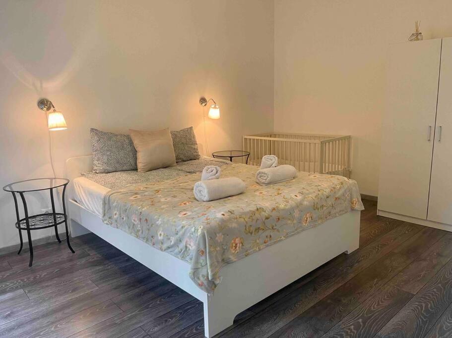 Knezits Spacious Ac Terrace Free Parking Budapest Exterior photo