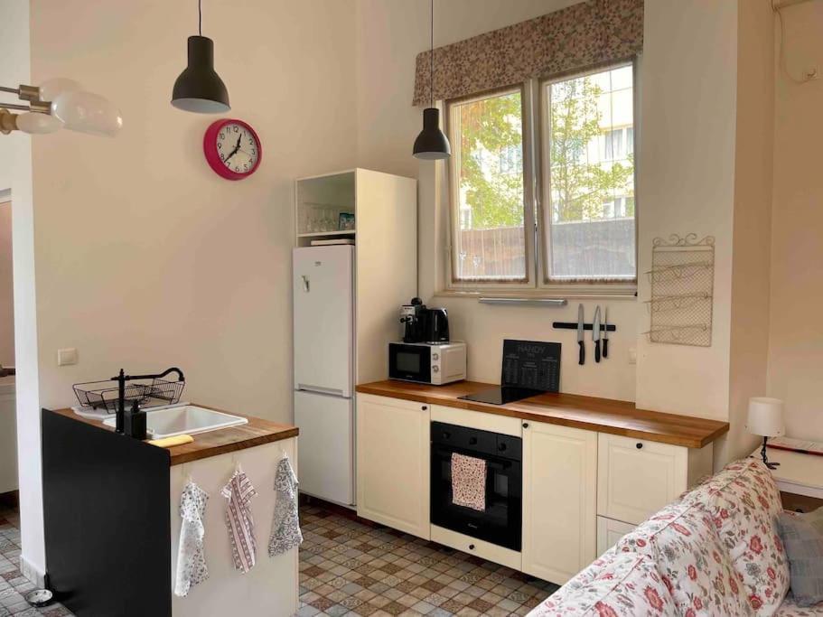 Knezits Spacious Ac Terrace Free Parking Budapest Exterior photo