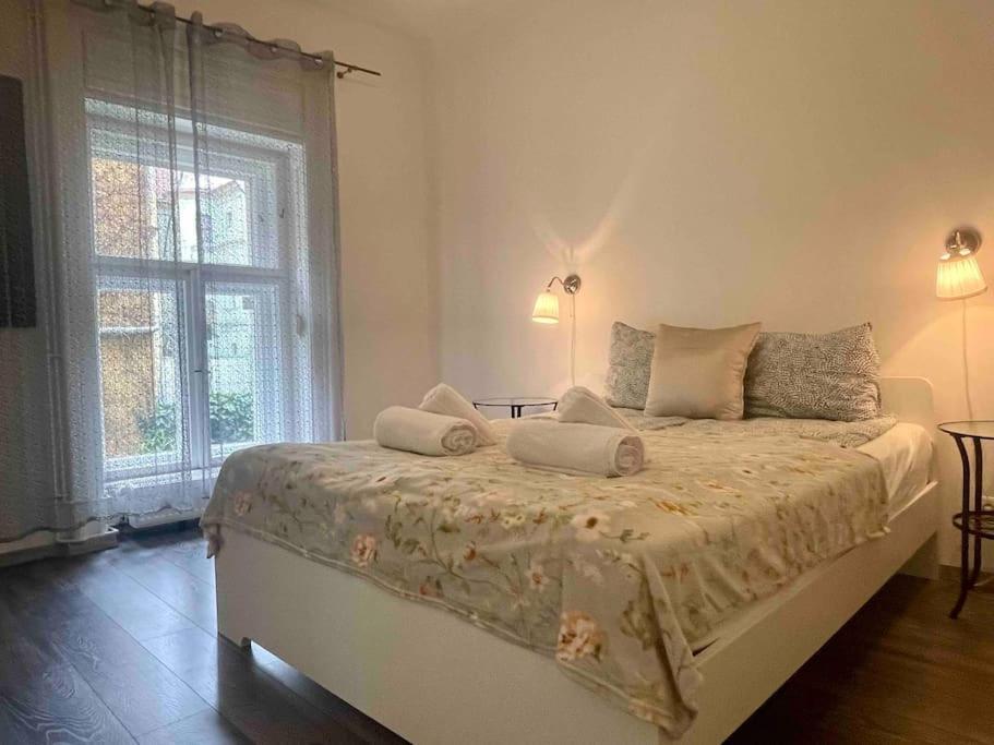 Knezits Spacious Ac Terrace Free Parking Budapest Exterior photo
